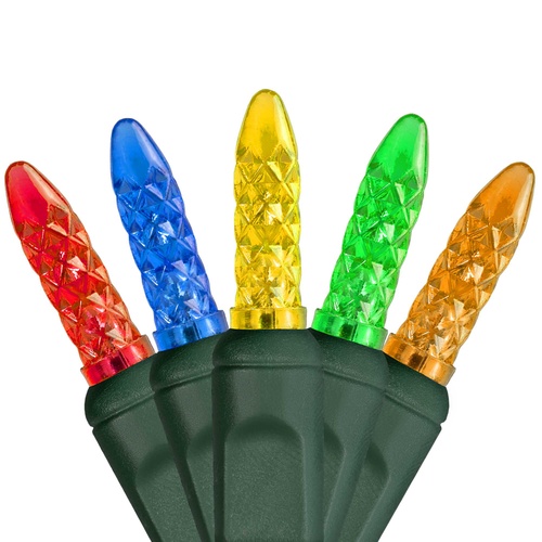 M5 Multi Color LED Christmas Lights