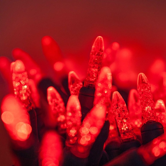 70 M5 Red LED Christmas Lights, 4" Spacing