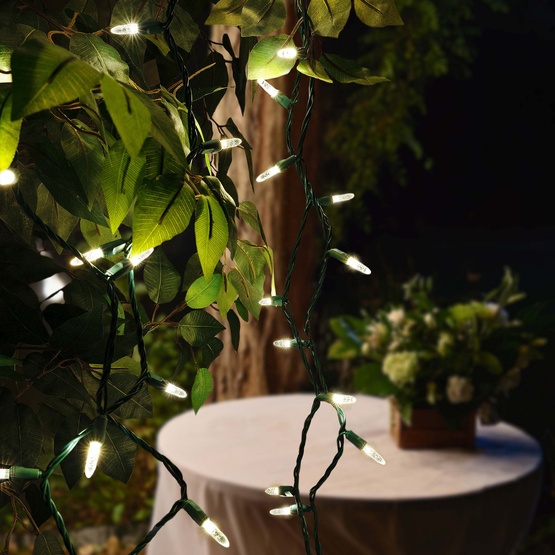70 M5 Warm White LED Christmas Lights, 4" Spacing