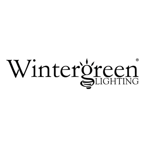 48" Wintergreen Lighting Warm White LED Five Point Dimensional Star