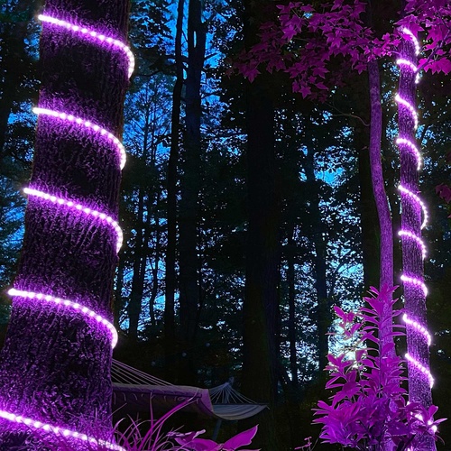 18' Purple LED Rope Light, 2 Wire 1/2", 120 Volt