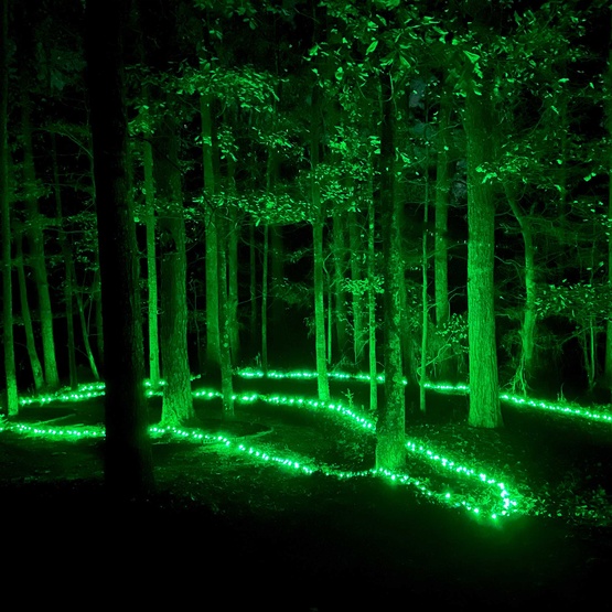 50 5mm Green LED Christmas Lights, 6" Spacing