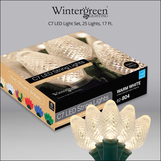 25 C7 Warm White LED Christmas Lights, 8" Spacing