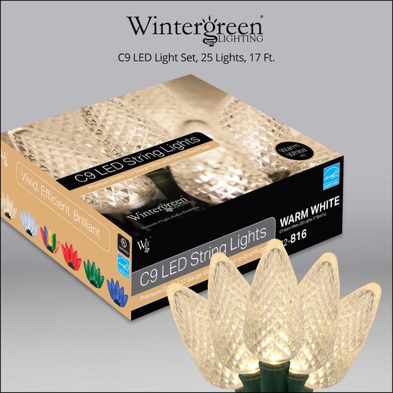 25 C9 Warm White LED Christmas Lights, 8" Spacing