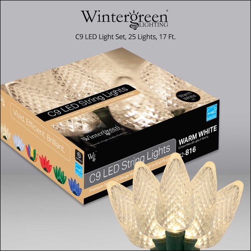 25 C9 Warm White LED Christmas Lights, 8" Spacing