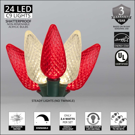 24 C9 Red, Warm White LED Christmas Lights, 8" Spacing
