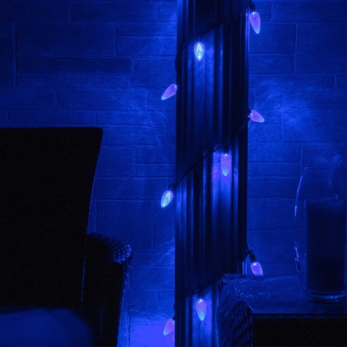 25 C9 Blue LED Christmas Lights, 8" Spacing