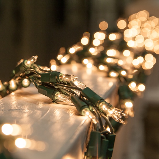 9' Garland Lights, 300 Clear Lamps, Green Wire