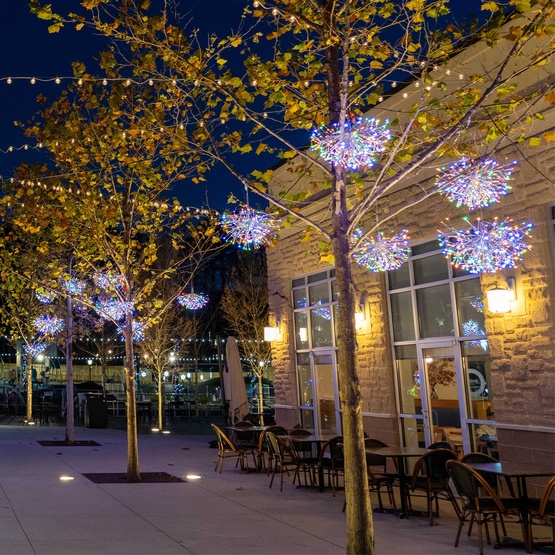 24" Silver Starburst Lighted Branches with Multicolor LED Lights, 1 pc