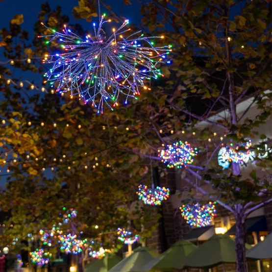 24" Silver Starburst Lighted Branches, Multicolor LED Twinkle Lights, 1 pc