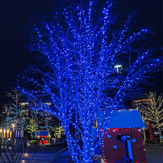 70 5mm Blue LED Christmas Lights, 4" Spacing