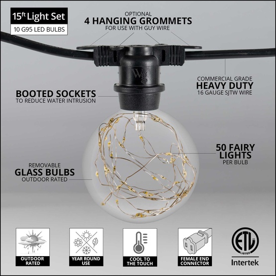 15' G95 Warm White LEDimagine TM Globe String Lights, Commercial Black Wire