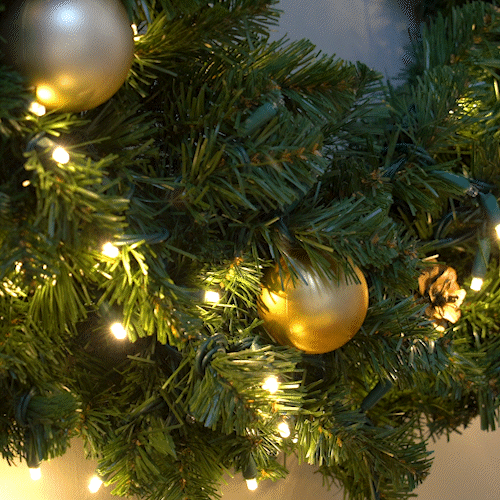 24" Pre-lit Commercial Oregon Fir LED Holiday Wreath, 50 Warm White SoftTwinkle Lights