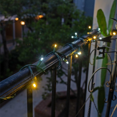 50 5mm Cool White, Warm White Champagne LED Christmas Lights, 6" Spacing