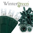 50 WeatherPRO TM 5mm Cool White LED Christmas Lights, 4" Spacing