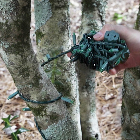 50 Warm White Outdoor LED Christmas Tree Lights, Mini 5MM, 6" Spacing, Contractor Pack