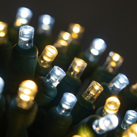 50 5mm Cool White, Warm White Champagne LED Christmas Lights, 6" Spacing