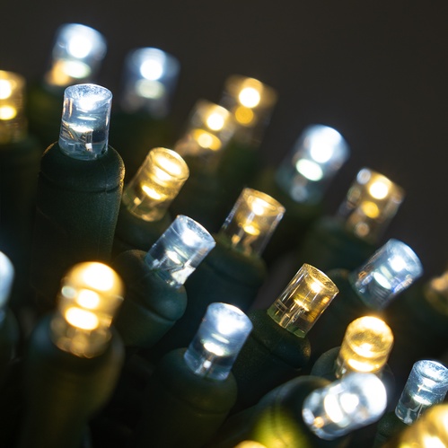 50 5mm Cool White, Warm White Champagne LED Christmas Lights, 6" Spacing