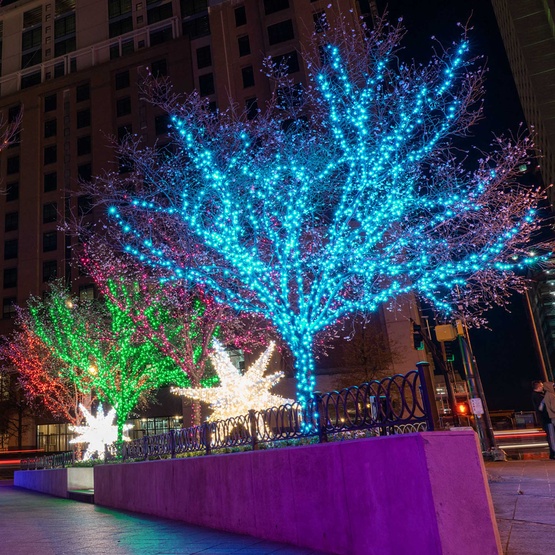 50 5mm Teal LED Christmas Lights, 6" Spacing