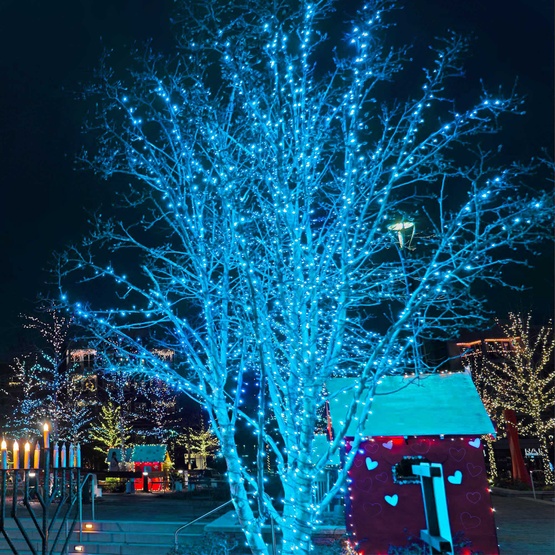 50 5mm Teal LED Christmas Lights, 6" Spacing