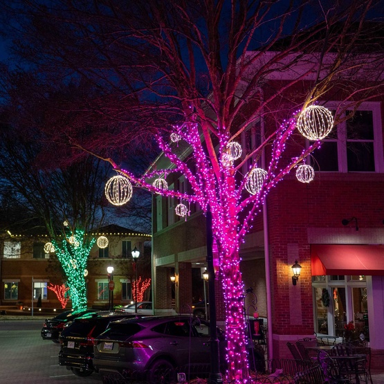 70 5mm Pink LED Christmas Lights, 4" Spacing