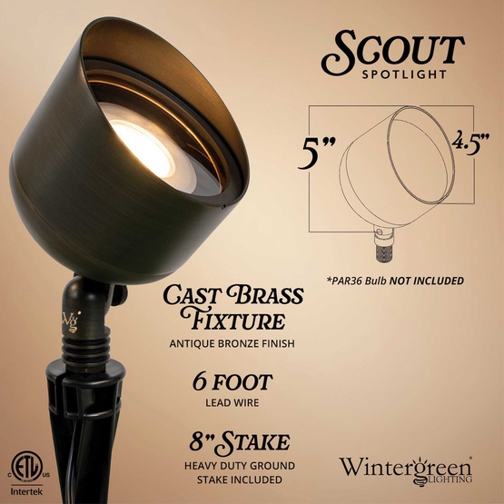 Scout Outdoor Spotlight, Antique Bronze