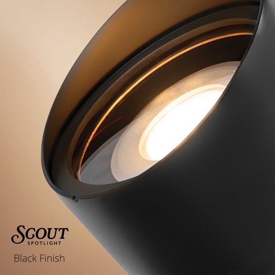 Scout Outdoor Spotlight, Black