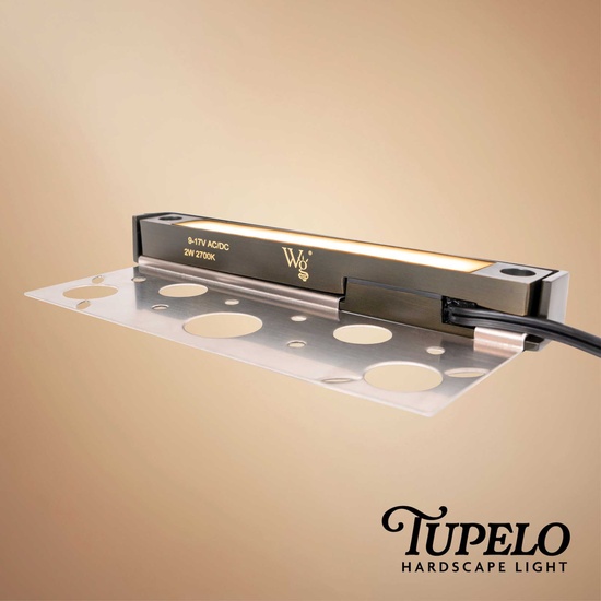 2W 100-Lumen Tupelo Hardscape Light, Antique Bronze