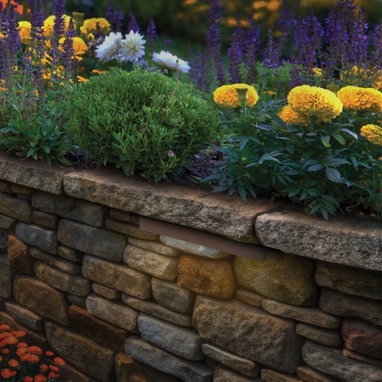 2W 100-Lumen Tupelo Hardscape Light, Antique Bronze