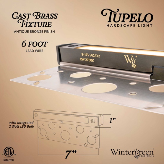 2W 100-Lumen Tupelo Hardscape Light, Antique Bronze