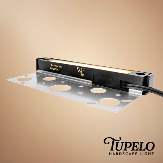 2W 100-Lumen Tupelo Hardscape Light, Black