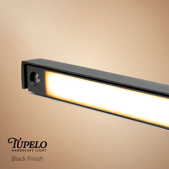 2W 100-Lumen Tupelo Hardscape Light, Black