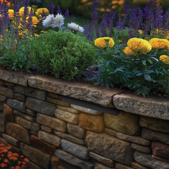 2W 100-Lumen Tupelo Hardscape Light, Black