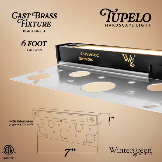 2W 100-Lumen Tupelo Hardscape Light, Black