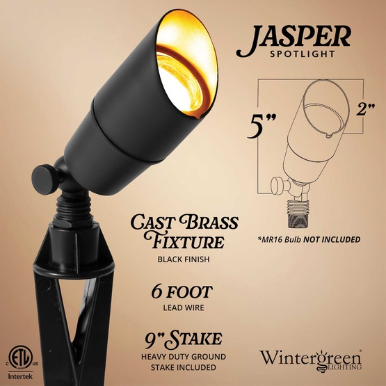 Jasper Compact Outdoor Spotlight, Black