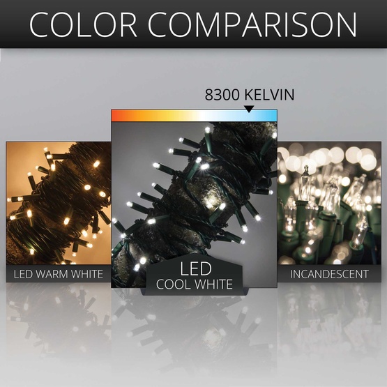 50 Cool White Outdoor LED Christmas Tree Lights, Mini 5MM, 4" Spacing