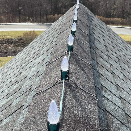 Canny<sup>TM</sup> Ridge Clip Pro, 25 Pack