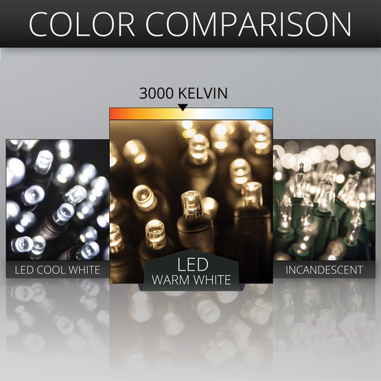 70 5mm Warm White LED Christmas Lights, 4" Spacing, Black Wire