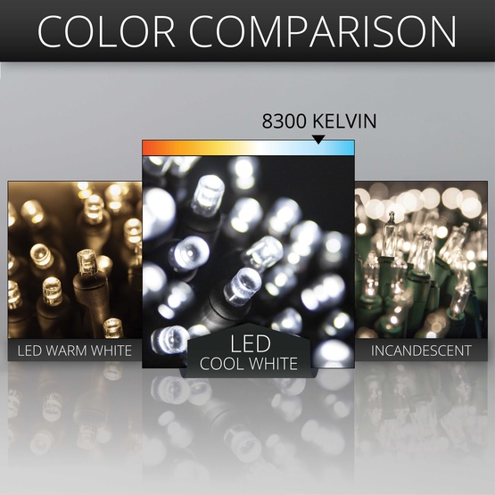 70 5mm Cool White LED Christmas Lights, 4" Spacing, Black Wire