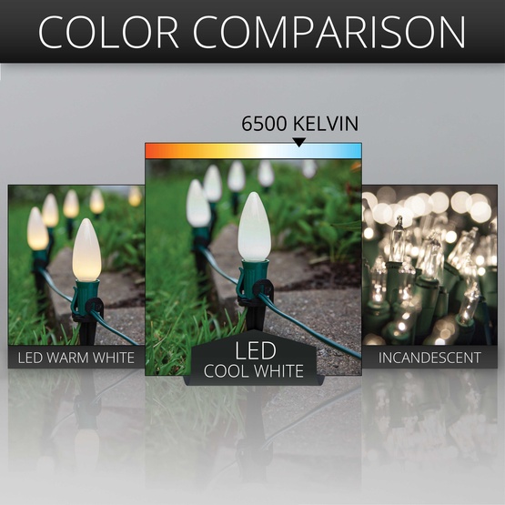 C9 Cool White Smooth OptiCore LED Christmas Pathway Lights, 25 Lights, 25', 5 Inch PathPRO Stakes