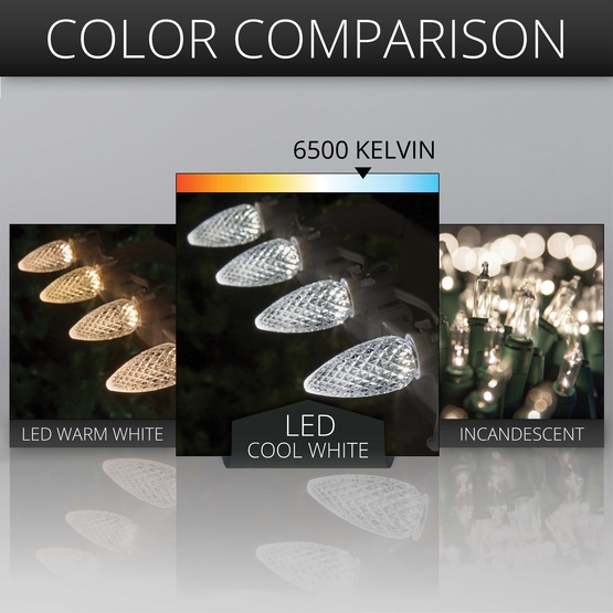 C9 Cool White OptiCore Commercial LED Christmas String Lights, 25 Lights, 25'