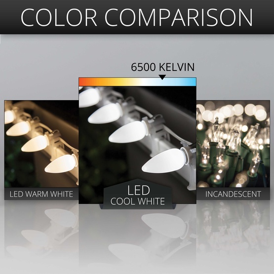 C9 Cool White Smooth OptiCore Commercial LED Christmas String Lights, 25 Lights, 25'