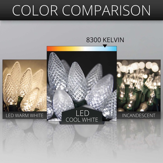 25 C9 Cool White LED Christmas Lights, 8" Spacing