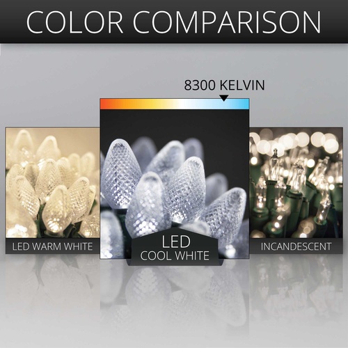 Commercial 25 C7 Cool White LED Christmas Lights, 12" Spacing