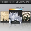 Commercial 25 C7 Cool White LED Christmas Lights, 12" Spacing