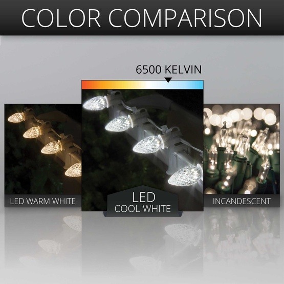 C7 Cool White OptiCore Commercial LED Christmas String Lights, 25 Lights, 25'