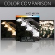 C7 Cool White Smooth OptiCore Commercial LED Christmas String Lights, 25 Lights, 25'
