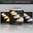 Kringle Traditions TM C7 120V Dimmable Pure White LED Christmas Light Bulbs