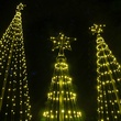 4' Warm White LED Animated Outdoor Lightshow Tree, Black Frame