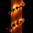 Garland Lights, 300 Orange LED Halloween Lights, Black Wire